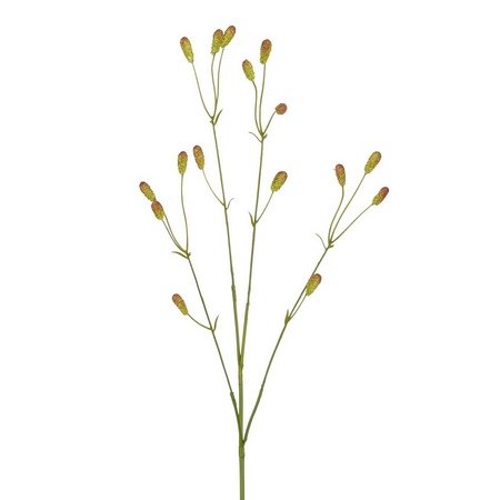 Sanguisorbatak l77cm bruin