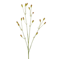 Sanguisorbatak l77cm bruin