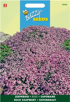 Saponaria ocymoides zeepkruid 0.5gram - afbeelding 4