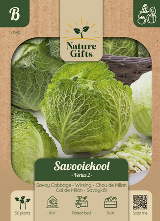 Savooiekool vertus 2 50st