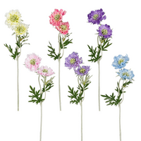 Scabiosasteel l56cm creme a6