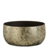 Schaal clemente d15h37cm champagne