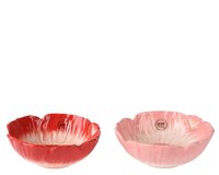 Schaal dolomiet d12h5cm a2