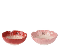 Schaal dolomiet d12h5cm a2 - afbeelding 2