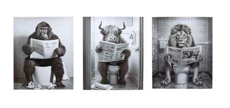 Schilderij 40x50cm zwart/wit per stuk