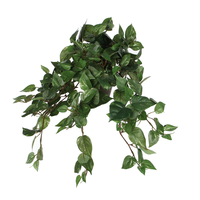 Scindapsus hangpot l45b25h25cm grn