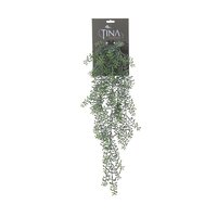 Senecio hanger l70cm grijs/groen hanger (Zijde-plant)