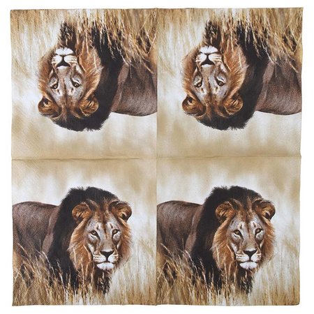 Servet l33b33cm leeuw 20st