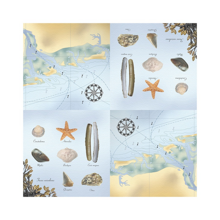 Servet l33b33cm strand 20st