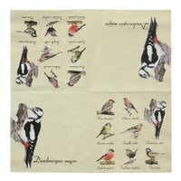 Servet l33b33cm vogel 20st