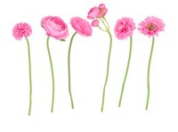 SILK BOUQUET FLOWERS DARK PINK 23CM