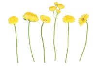 SILK BOUQUET FLOWERS YELLOW 23CM