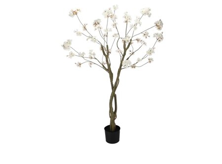 SILK CHERRY BLOSSOM TREE WHITE 180CM