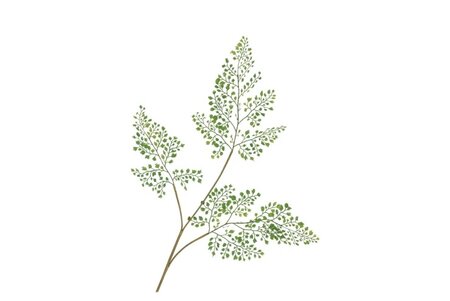 SILK FERNMAIDEN HAIR GREEN 87 CM