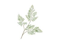 SILK FERNMAIDEN HAIR GREEN 87 CM