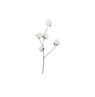 SILK OLD COTTON FLOWER WHITE STEM 83CM