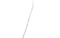 SILK WILLOW CATKINS WHITE 152CM