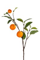 Sinaasappeltak l60cm grn/oranje