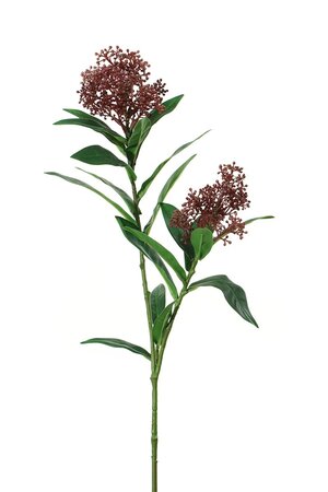 Skimmia l70cm burgundy
