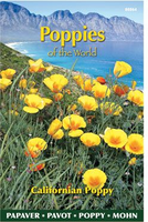 Slaapmuts poppies of the world c 1g - afbeelding 5