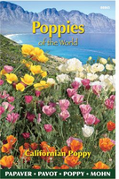 Slaapmuts poppies of the world d 1g - afbeelding 3