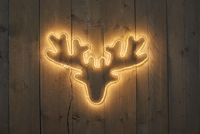 Smd hang/hertenkop b60h42cm 270l ww