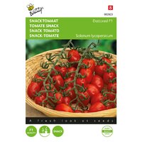 Snacktomaat dattored f1 8zdn