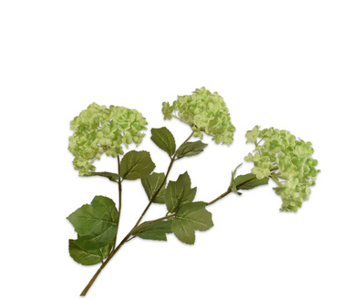 Sneeuwbaltak l62cm groen