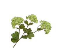 Sneeuwbaltak l62cm groen - afbeelding 2