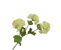 Sneeuwbaltak l62cm lichtgroen