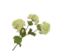 Sneeuwbaltak l62cm lichtgroen - afbeelding 2
