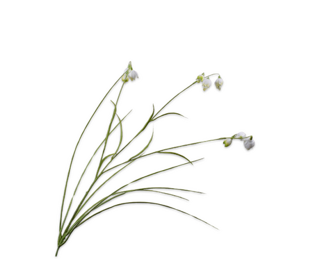 Sneeuwklokjetak l70cm creme