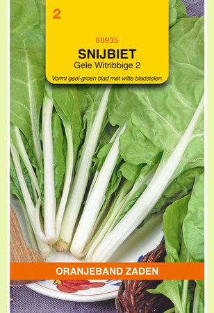 Snijbiet geel witribbig 5g - afbeelding 1