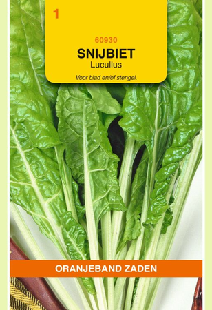 Snijbiet lucullus 5g - afbeelding 1