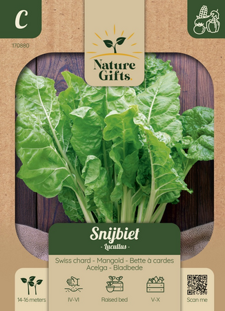 Snijbiet lucullus per 15m