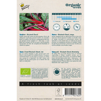 Snijbiet rhubard chard (bio) - afbeelding 2