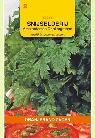 Snijselderij amsterdams d.groen 2g - afbeelding 1