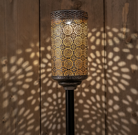 Solar fakkel zilver d9h60cm