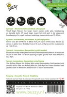 Spinazie amsterdams reuzenblad - afbeelding 2