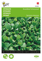 Spinazie breedblad scherpzaad zomer