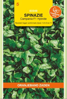 Spinazie campania 15g - afbeelding 3