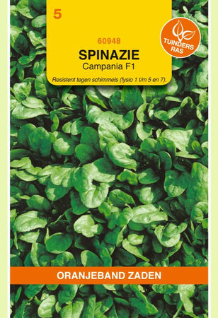 Spinazie campania 15g - afbeelding 1