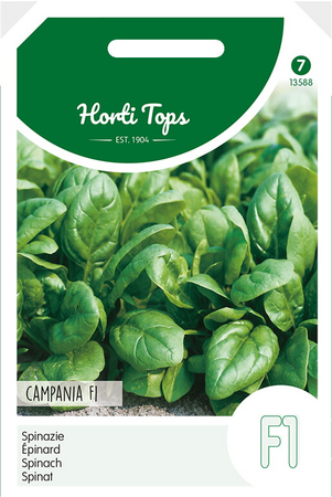 Spinazie campania f1 hybride 50g - afbeelding 1