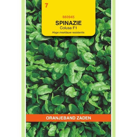 Spinazie colusa f1 25g - afbeelding 1