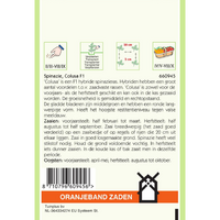 Spinazie colusa f1 25g - afbeelding 2