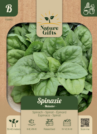 Spinazie matador per 35m