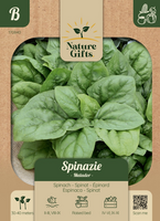 Spinazie matador per 35m