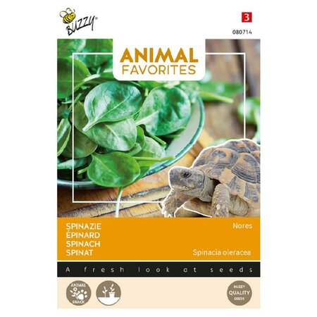 Spinazie nores schildpadden - afbeelding 1