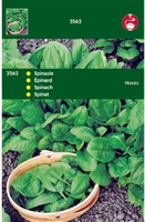 Spinazie nores viking 100g - afbeelding 3