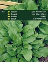 Spinazie viroflex 100g - afbeelding 3